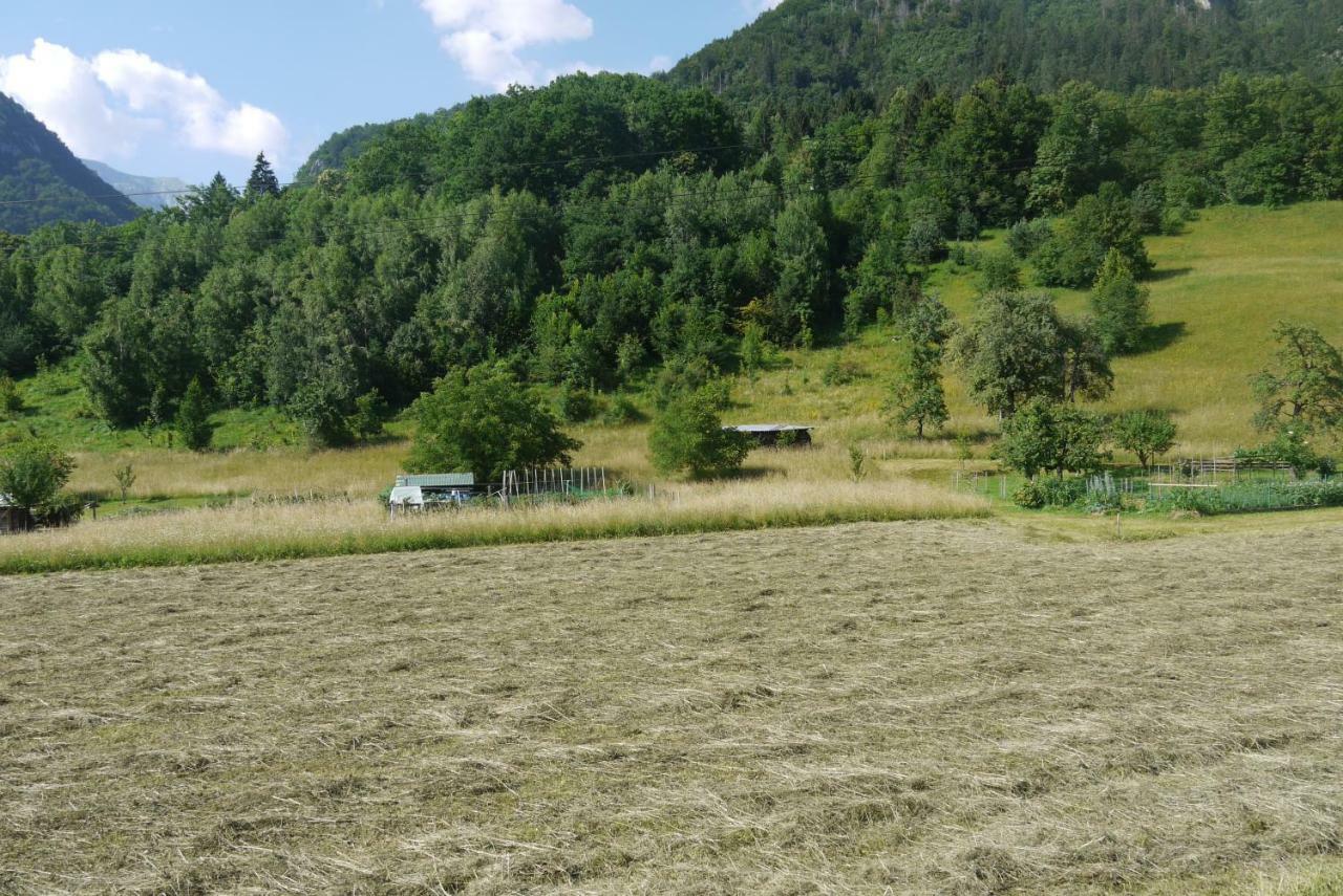 Apartments - Glamping Encijan Begunje na Gorenjskem Zewnętrze zdjęcie